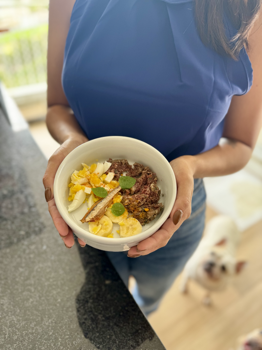 Tigela de alimentação natural para pets